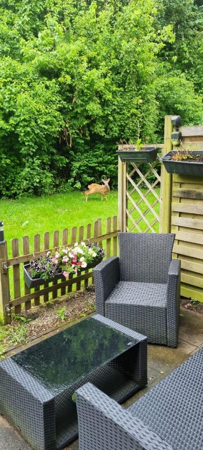 Luxus Apartament Ammersbek エクステリア 写真